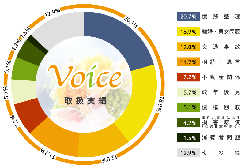 取扱案件の割合。債務整理20.7％、離婚・男女問題18.9％、交通事故12.0％。